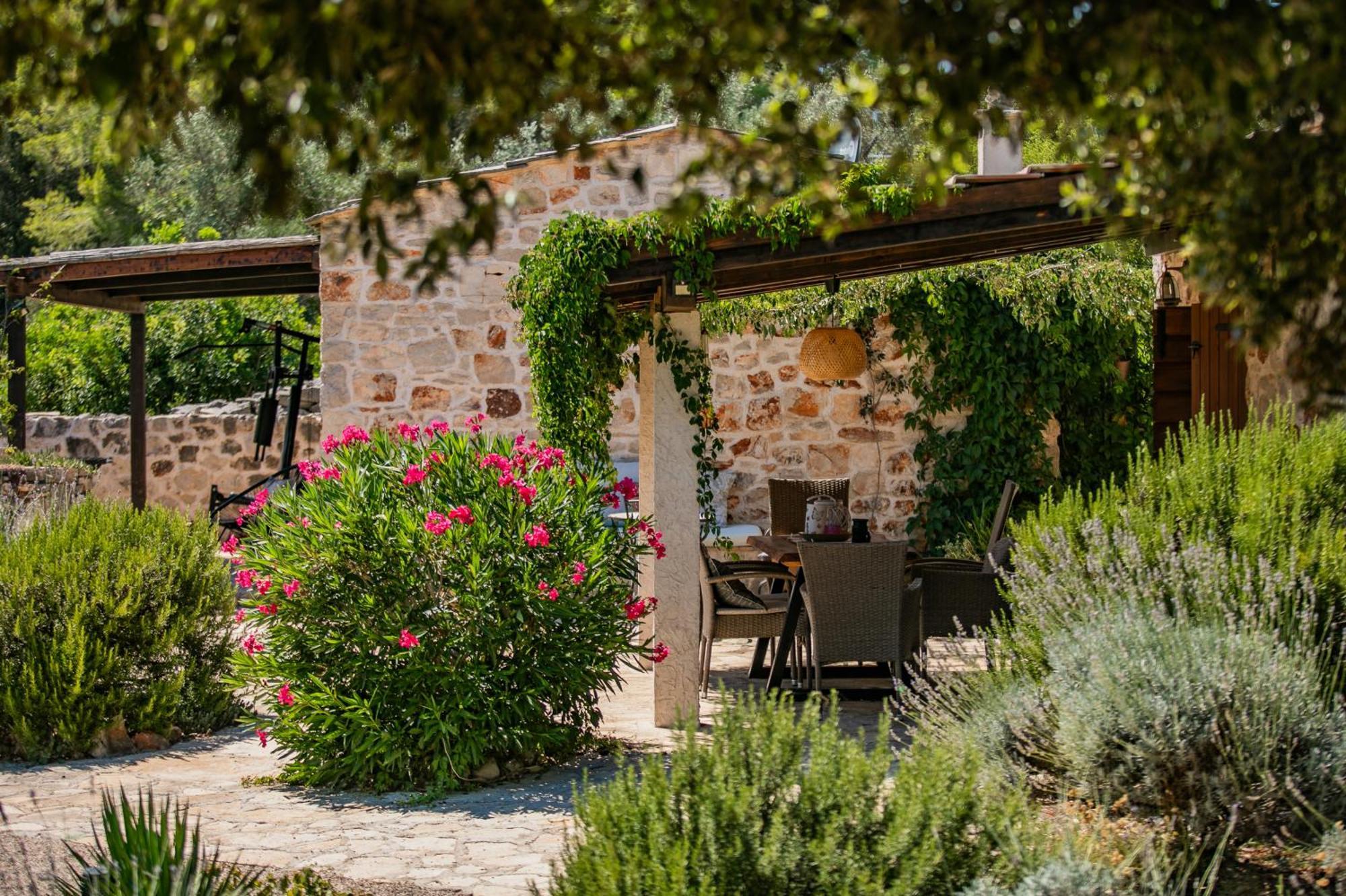 Villa Oxa Dreamland Stari Grad  Exterior photo